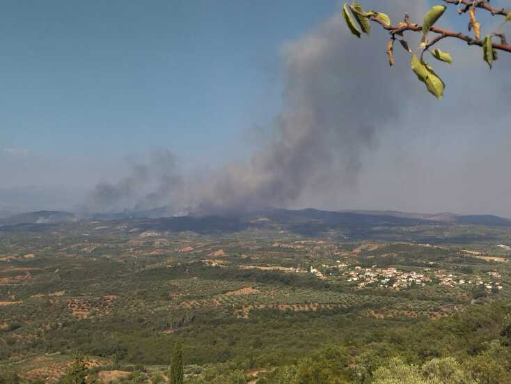 Φωτιά στη Λακωνία