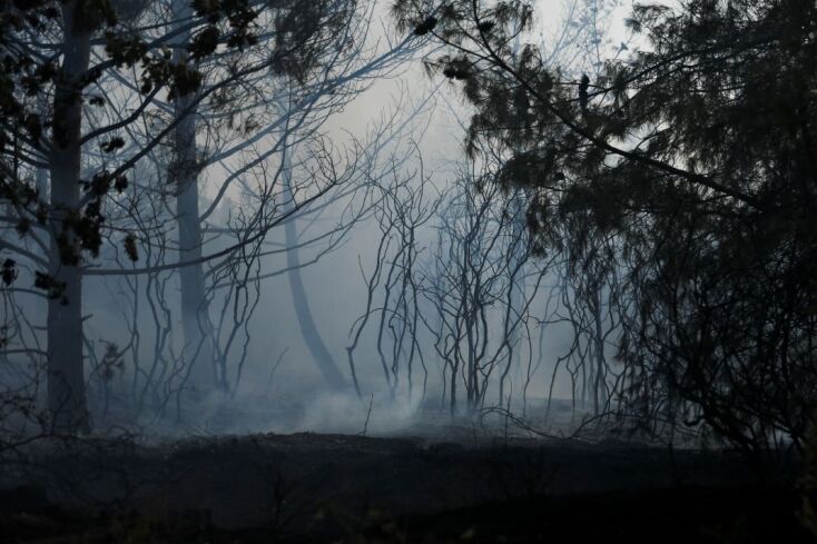 © Nephele Nomikou / SOOC