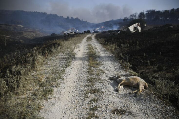 Δύο νεκροί στη Μαγνησία - Μία σύλληψη για εμπρησμό