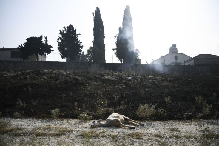 Δύο νεκροί στη Μαγνησία - Μία σύλληψη για εμπρησμό