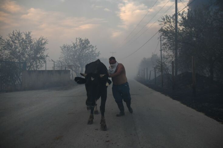 Ενεργοποιήθηκε η Υπηρεσία Copernicus για τους Δήμους Ρήγα Φεραίου και Βόλου