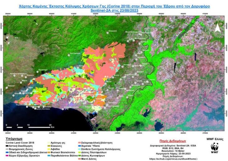 Στάχτη το 30% του εθνικού πάρκου στο δάσος της Δαδιάς