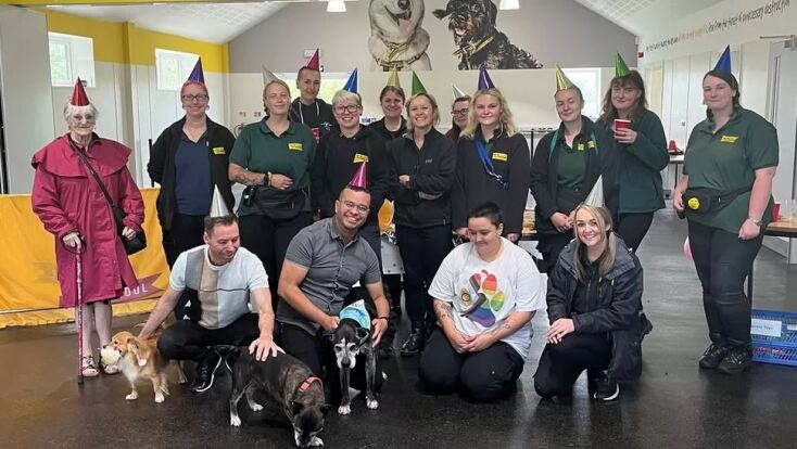 Γιορτή για τον ένα χρόνο από την υιοθεσία του Τάι