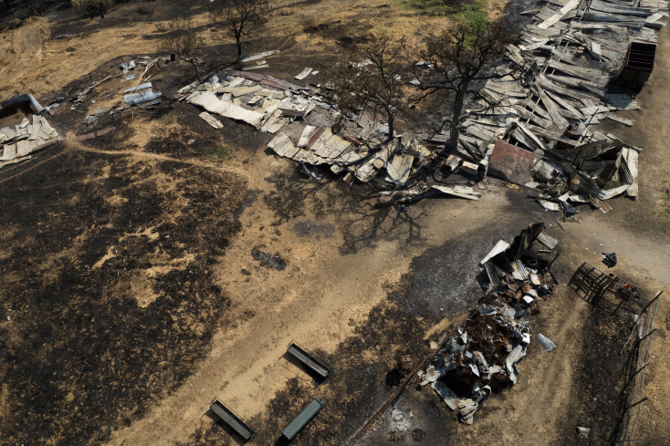 Καμένη στάνη στην περιοχή του δάσους της Δαδιάς