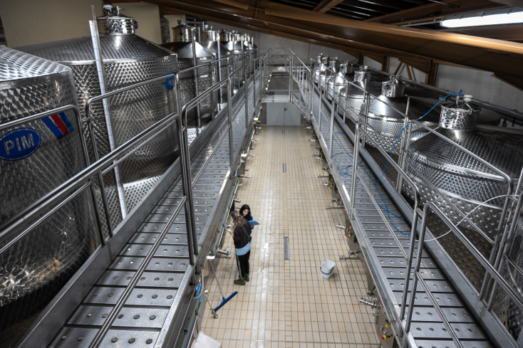 Στο Κτήμα Γεροβασιλείου με φίνα κρασιά, ιδανικό pairing και σπουδαία τέχνη