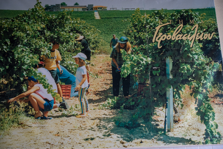 Στο Κτήμα Γεροβασιλείου με φίνα κρασιά, ιδανικό pairing και σπουδαία τέχνη