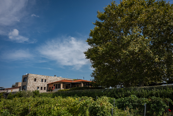 Στο Κτήμα Γεροβασιλείου με φίνα κρασιά, ιδανικό pairing και σπουδαία τέχνη