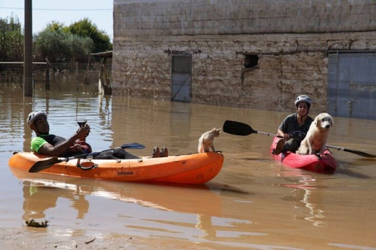 Ο Νόμος για τα ζώα συντροφιάς και η έκθεση του ελεγκτικού συνεδρίου