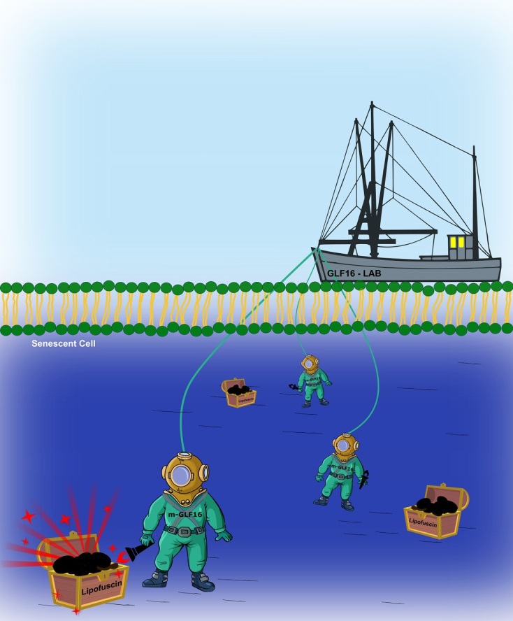 © Ερευνητική ομάδα καθηγητή Β.Γοργούλη/ΕΚΠΑ