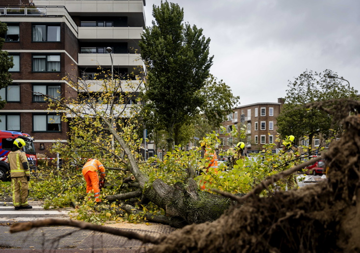 Πτώσεις δέντρων στη Χάγη της Ολλανδίας