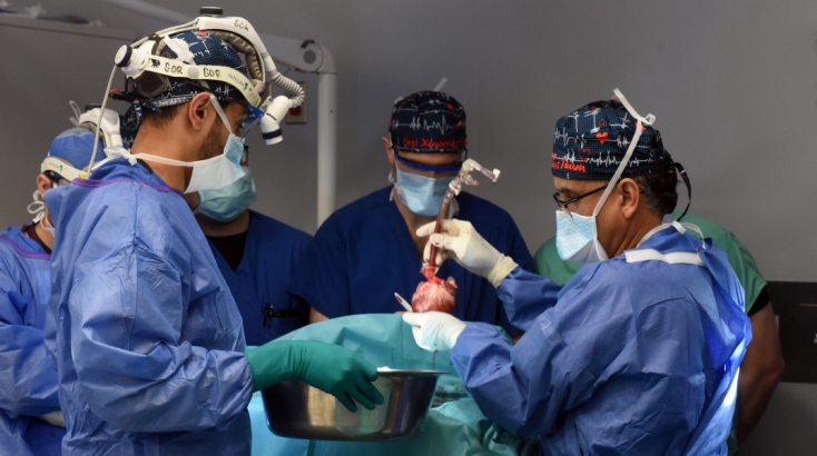 Ο δεύτερος ασθενής που είχε λάβει μόσχευμα από καρδιά χοίρου, πέθανε μετά από 6 εβδομάδες