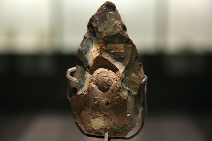 Χειροπέλεκυς λαξευμένος γύρω από απολίθωμα οστράκου, περ. 300.000-500.000 χρόνια, που βρέθηκε στο Νόρφολκ της Αγγλίας,