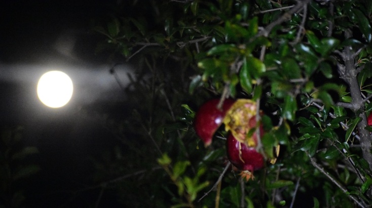 Ορατό απόψε το «Φεγγάρι του Κάστορα» - Θα αποκτήσει έντονο πορτοκαλί χρώμα