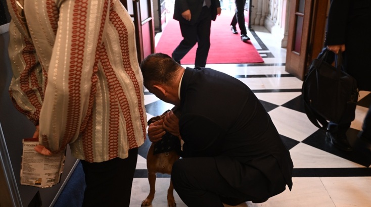 Ερντογάν στο Μαξίμου: Τον υποδέχθηκε και ο Peanut © ΤΑΤΙΑΝΑ ΜΠΟΛΑΡΗ/EUROKINISSI