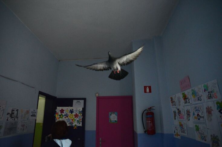 Εκλογικό τμήμα στη Θεσσαλονίκη, 21 Μαΐου 2023 © Christos Karras / SOOC 