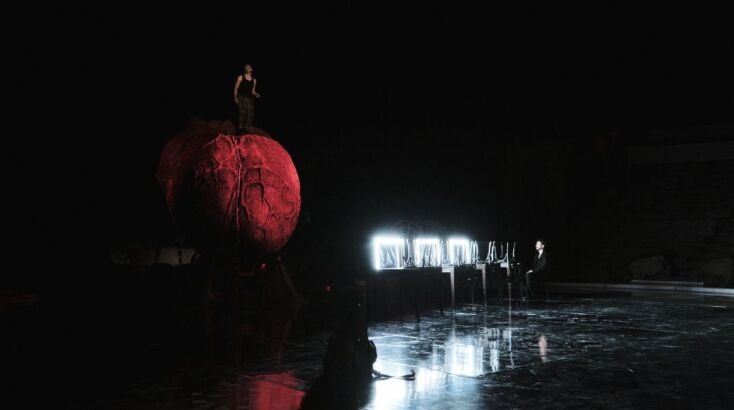 Βατράχια © Γιώργος Καπλανίδης 