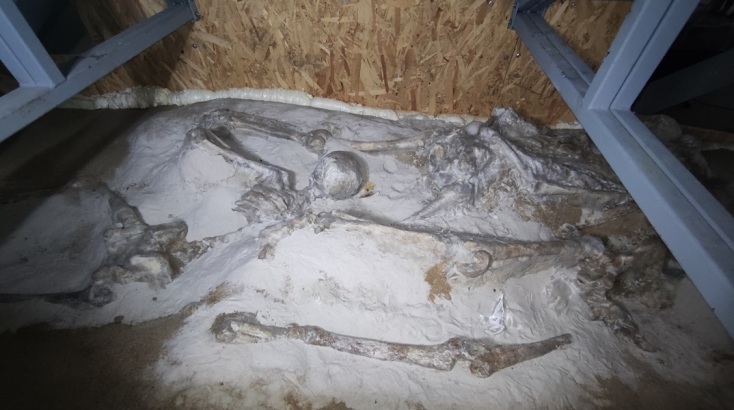 Αυτοψία της Υπουργού Πολιτισμού Λίνας Μενδώνη στους «Δεσμώτες του Φαλήρου» © ΥΠΠΟ