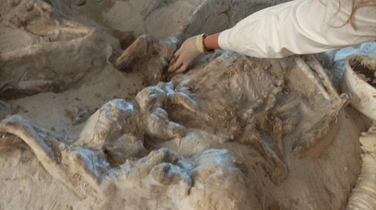 Αυτοψία της Υπουργού Πολιτισμού Λίνας Μενδώνη στους «Δεσμώτες του Φαλήρου» © ΥΠΠΟ