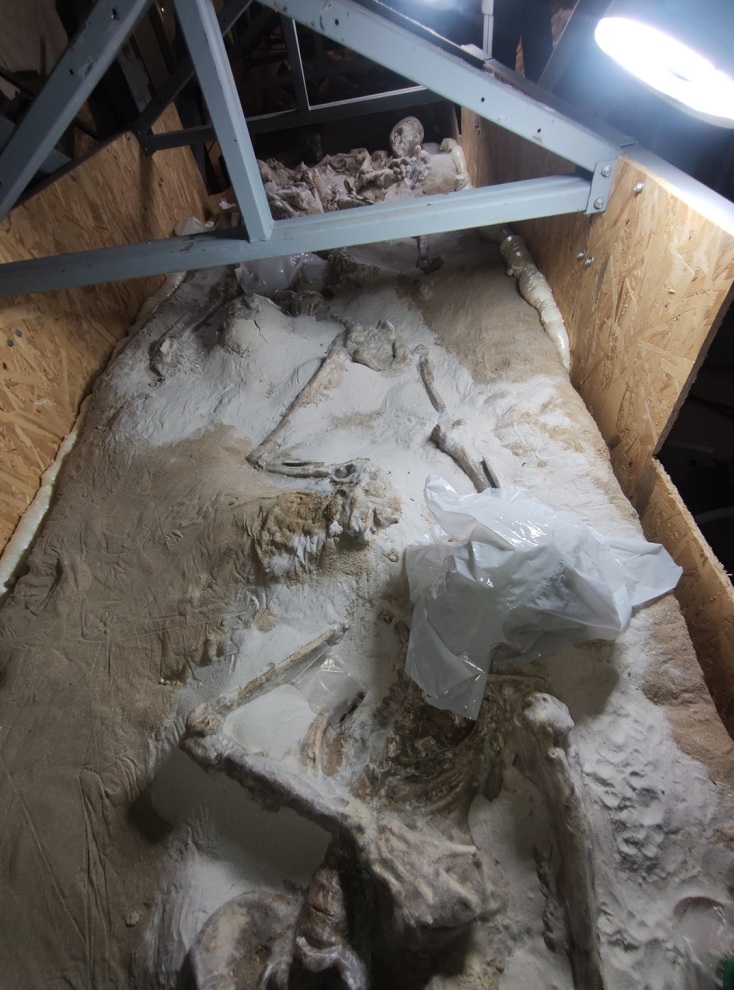 Αυτοψία της Υπουργού Πολιτισμού Λίνας Μενδώνη στους «Δεσμώτες του Φαλήρου» © ΥΠΠΟ