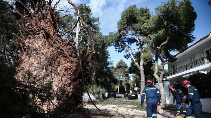 485 κλήσεις έλαβε σε όλη την χώρα η Πυροσβεστική για κοπές δέντρων και παροχών βοήθειας