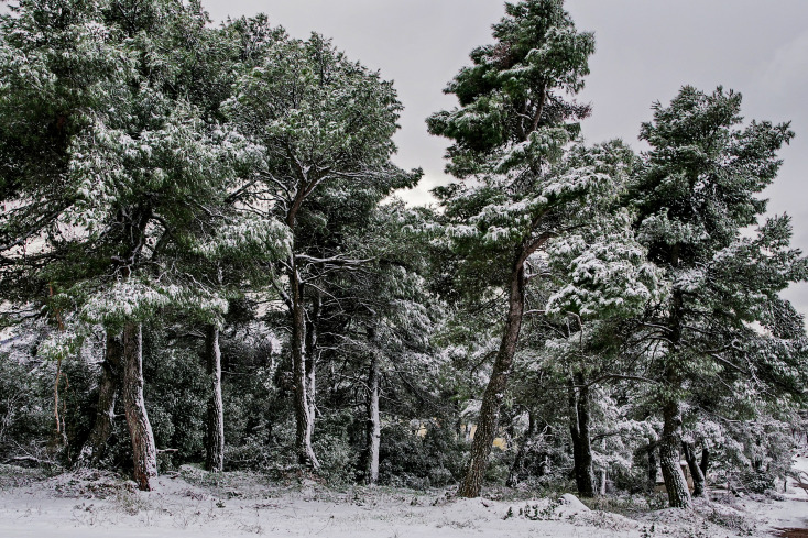 Χιόνια στη Πάρνηθα 