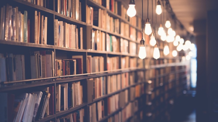 Αποσύρονται βιβλία και λεξικά από σχολεία της Φλόριντα λόγω «περιγραφών σεξουαλικής συμπεριφοράς»