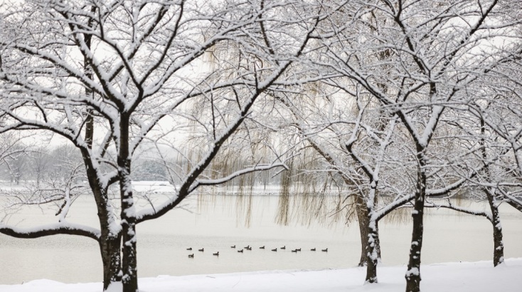 Πολικό ψύχος στις ΗΠΑ: 59 οι νεκροί - Χιλιάδες νοικοκυριά στο «σκοτάδι»