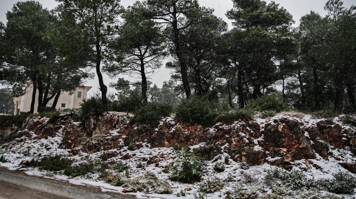 Στα «λευκά» Πάρνηθα και Ιπποκράτειος Πολιτεία - Μοναδικές εικόνες από το ολόλευκο τοπίο στην Αττική