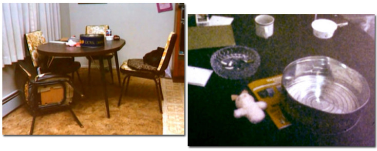 Η δολοφονία της οικογένειας Νιούμαν