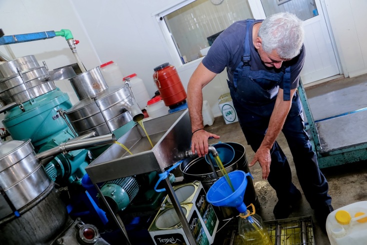 Eurostat: Tον Ιανουάριο, η τιμή του ελαιολάδου στην Ε.Ε ήταν 50% υψηλότερη από τον αντίστοιχο του 2023