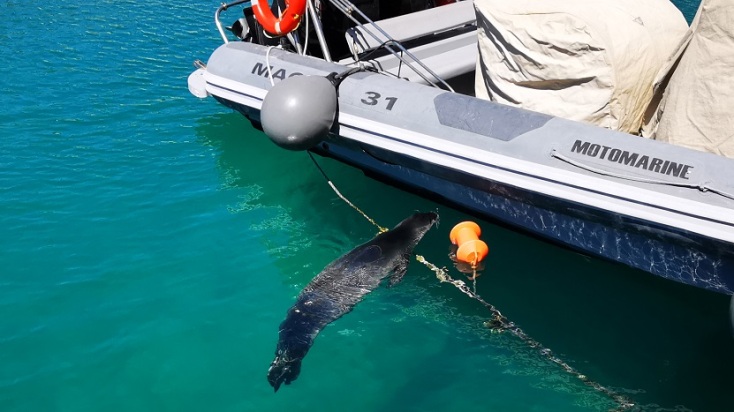 Le Figaro: Η Αλόννησος στην κορυφή των εναλλακτικών προορισμών της Ελλάδας για το 2024!	