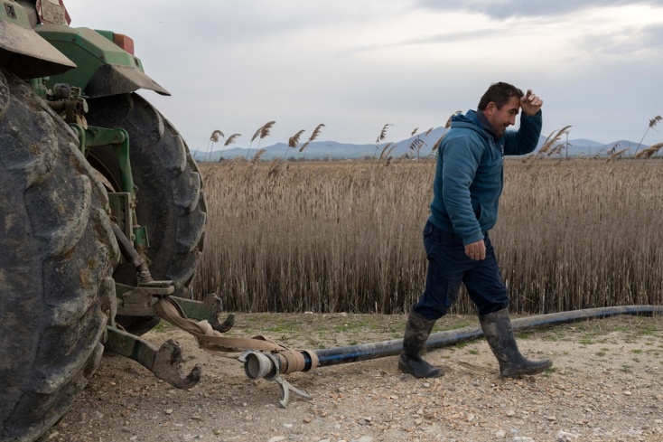 Αγρότης στις κατεστραμμένες εκτάσεις στη Λίμνη Κάρλα