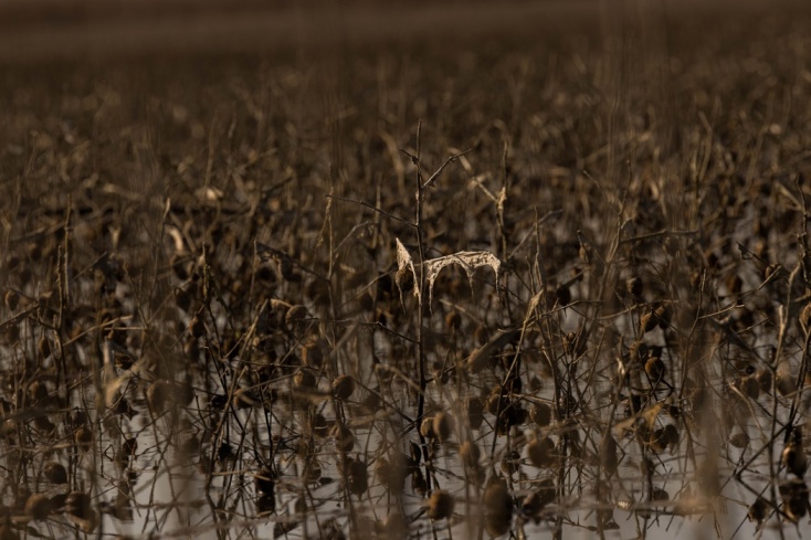 Εκτάσεις μετά το καταστροφικό πέρασμα της κακοκαιρίας Daniel στη Λίμνη Κάρλα