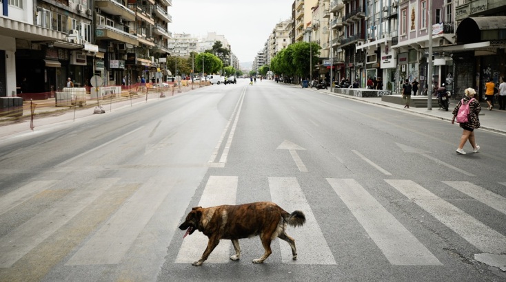 Το παρών στις συγκεντρώσεις έδωσε και ένας τετράποδος φίλος 