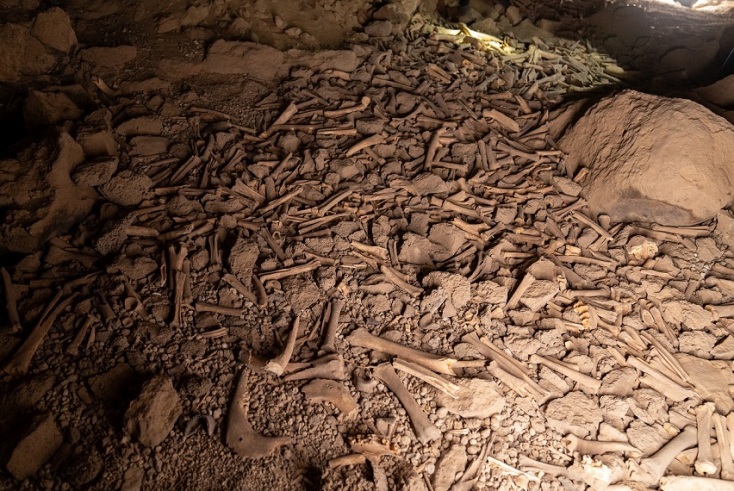 Σωρός από οστά