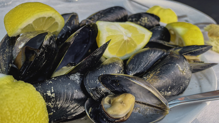 Αγκυροβόλι: Για φρέσκο ψάρι και ουζάρες στον Ποταμό της Επανομής 