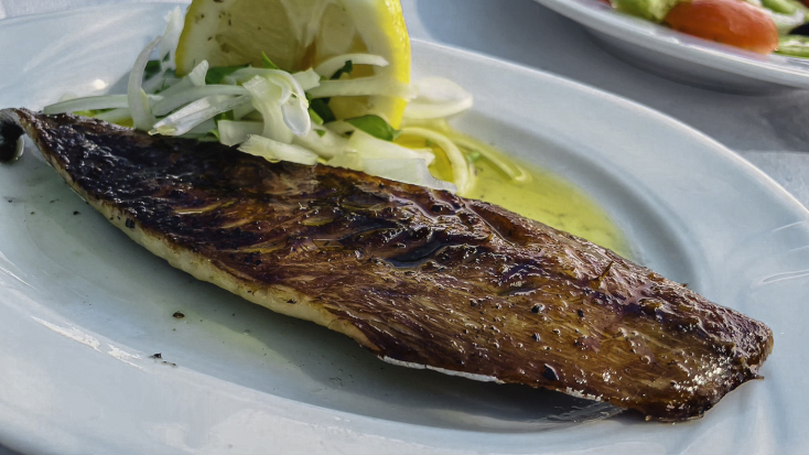 Αγκυροβόλι: Για φρέσκο ψάρι και ουζάρες στον Ποταμό της Επανομής 