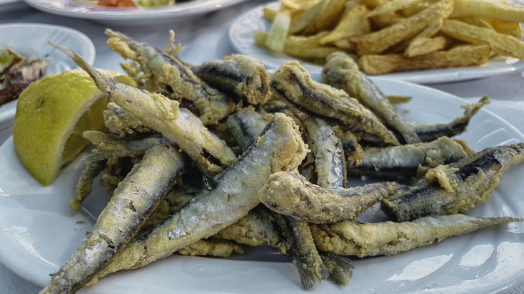 Αγκυροβόλι: Για φρέσκο ψάρι και ουζάρες στον Ποταμό της Επανομής 