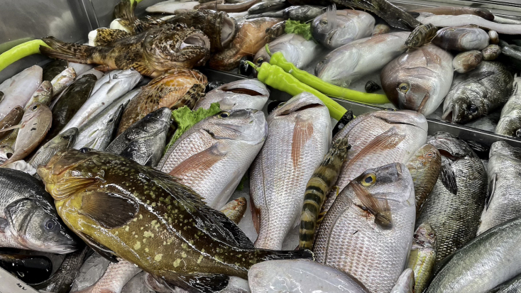 Αγκυροβόλι: Για φρέσκο ψάρι και ουζάρες στον Ποταμό της Επανομής 