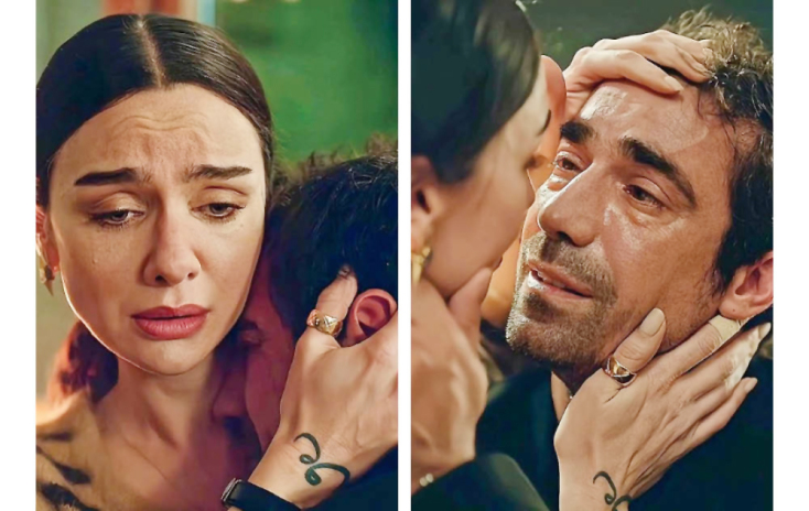 «As the crow flies»