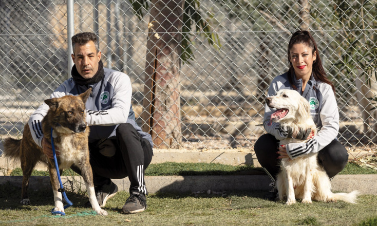 Το «πράσινο» Dog City