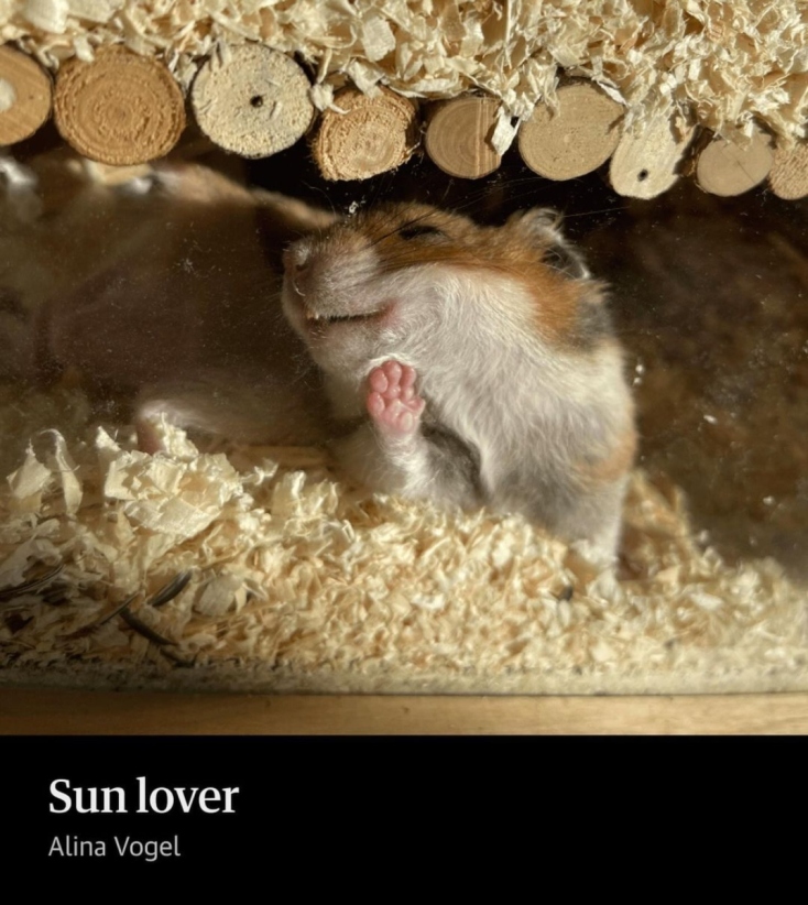 Comedy Pets Photography Awards 