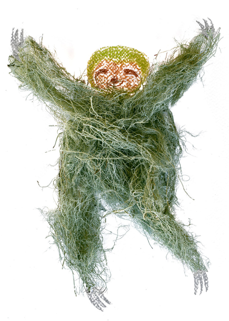 Ο Λειχηνύποδας, Ζώα από τα Άγραφα