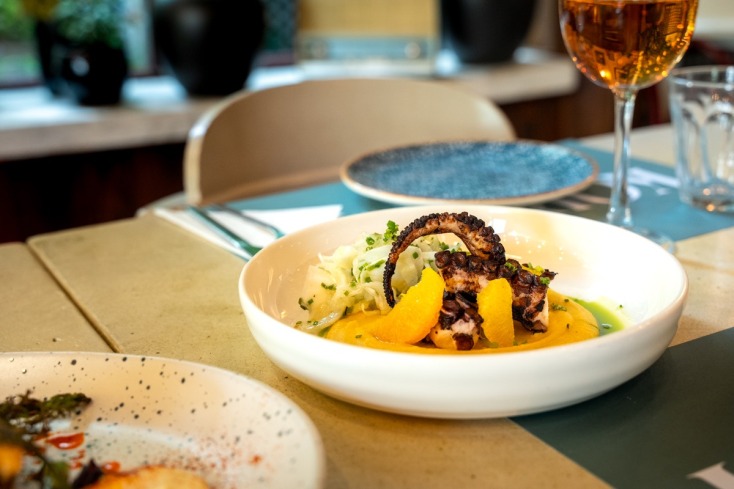 Κορωνίς: Δεκατιανό, μεζέδες και απεριτίφ κάτω από τα δροσερά πλατάνια της Σοφούλη 