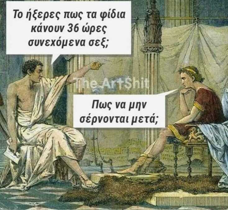 Αστεία memes, ατάκες, YOLO βίντεο, viral, αστεία video στο TikTok που ανέβηκαν στο διαδίκτυο και μας έκαναν να γελάσουμε.