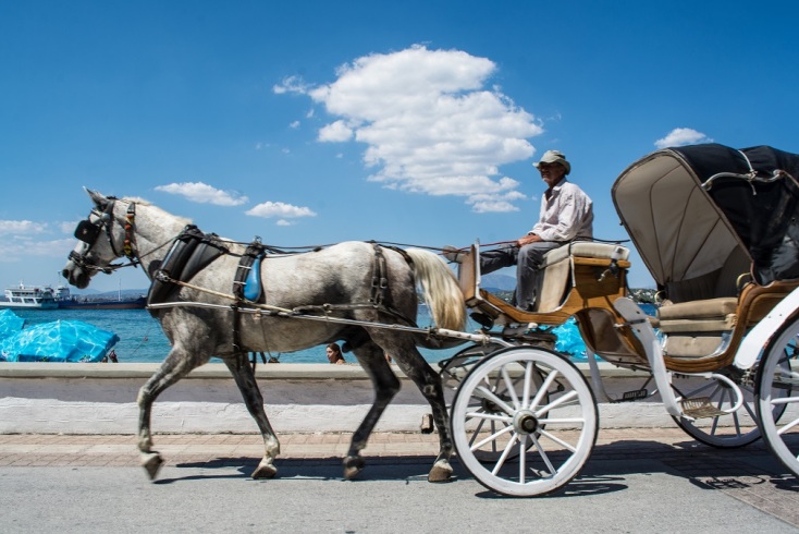 αμαξα, αλογο