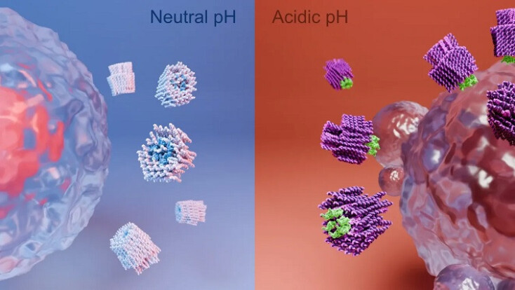 Νανορομπότ που σκοτώνει καρκινικά κύτταρα με εξαιρετική ακρίβεια δημιούργησαν επιστήμονες στη Σουηδία