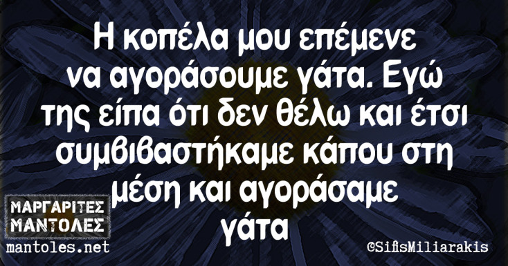 Αστεία memes, ατάκες, YOLO βίντεο, viral, αστεία video στο TikTok που ανέβηκαν στο διαδίκτυο και μας έκαναν να γελάσουμε.