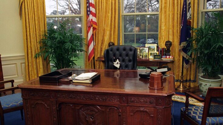 Ο Socks το κατοικίδιο των Κλίντον στο Οβάλ Γραφείο