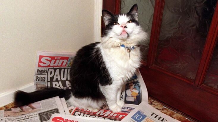 Απόδειξη ζωής για τον Humphrey